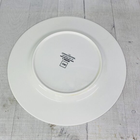 Mikasa HK 246 FORECAST Citrus Strong Chip Resistance China Dinner Plates Set 4 - Picture 7 of 16